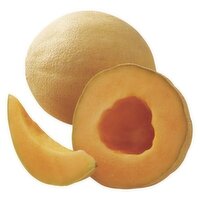 Fresh Athena Melon, 1 Each