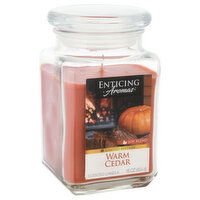 Enticing Aromas Scented Candle, Warm Cedar, 1 Each