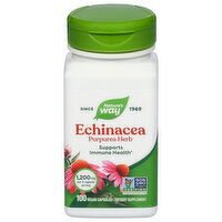 Nature's Way Vegan Capsules 1,200 mg Echinacea, 100 Each