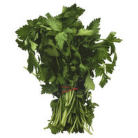 Fresh Italian Parsley, 1 Each