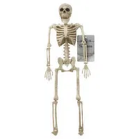 Crazy Bonez Skeleton, 16 Inches Tall, 1 Each