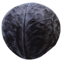 Produce Cabbage, Red