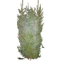 Cub 6’ Single Spruce Tips, 1 Each