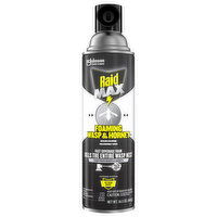 Raid Max Foaming Wasp & Hornet, 16.5 Ounce