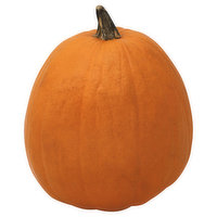 Cub Pumpkins, 15 Pound