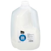 Essential Everyday Spring Water, Natural, 1 Gallon