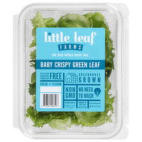 Little Leaf Farms Lettuce, Baby Crispy, Green Leaf, 4 Ounce