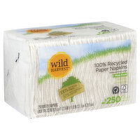 Wild Harvest Napkins, 100% Recycled Paper, One-Ply, 250 Each