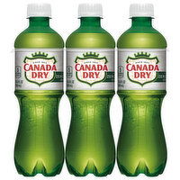 Canada Dry Ginger Ale, Zero Sugar, Caffeine Free, 6 Each