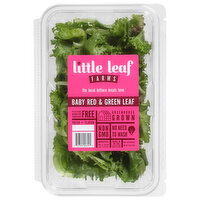 Little Leaf Farms Lettuce, Baby Red & Green Leaf, 8 Ounce