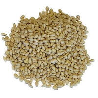 Cub Pine Nuts, Bulk, 1 Pound