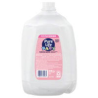 Pure Life Purified Water, 1 Gallon