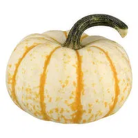 Bay Baby Produce Pumpkin, Tiger Stripe, 1 Each