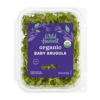 Wild Harvest Arugula, Organic, Baby, 5 Ounce