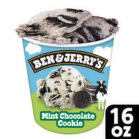 Ben & Jerry's Ice Cream Pint, 16 Ounce