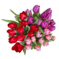 Cub Tulip Bunches, 10 Stem, 1 Each