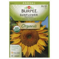 Burpee Seeds, Organic, Sunflower, Mammoth, 9 Gram