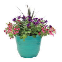 Cub Floral 16" Premium Combination Planter, 1 Each