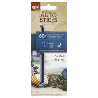 Auto Sticks Fragranced Sticks, Coastal Storm, 3 Each