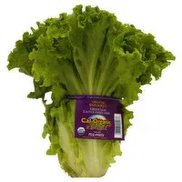 Produce Lettuce, Green Leaf, Organic, 1 Each