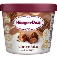 Haagen Dazs Chocolate Ice Cream, 3.6 Fluid ounce