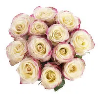 Cub Floral Dozen Roses Multicolor, 1 Each