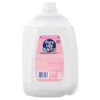 Pure Life Purified Water, 1 Gallon