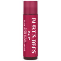 Burt's Bees Lip Balm, Tinted, Daisy, 0.15 Ounce