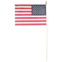 Annin Flagmakers American Flag, Hand Flag, 1 Each