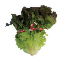 Fresh Red Leaf Lettuce, 1 Each