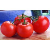 Fresh Produce Organic On the Vine Tomato, 2 Pound