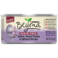 Beyond Cat Food, Natural, Grain Free, Turkey, Sweet Potato & Spinach Recipe, 3 Ounce