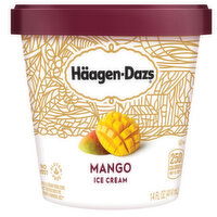 Haagen- Dazs Mango Ice Cream , 14 Ounce