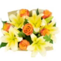 Cub Signature Bouquet, 1 Each