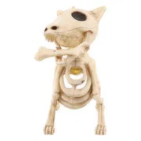 Seasons Halloween Decor, Dog Skeleton, 1 Each