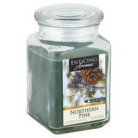 Enticing Aromas Candle, Scented, Northern Pine, 1 Each