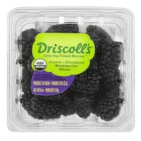 Driscoll's Organic Blackberries, 6 Ounce