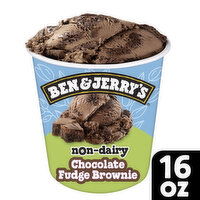 Ben & Jerry's Non-Dairy, 16 Ounce