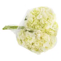 Cub White Hydrangea Bunches, 3 Stems, 1 Each