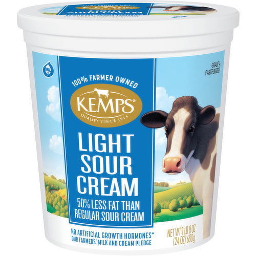 Kemps Sour Cream Light