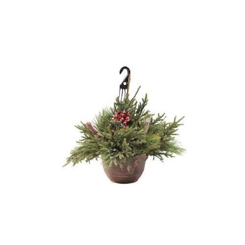 Cub Premium Hanging Basket