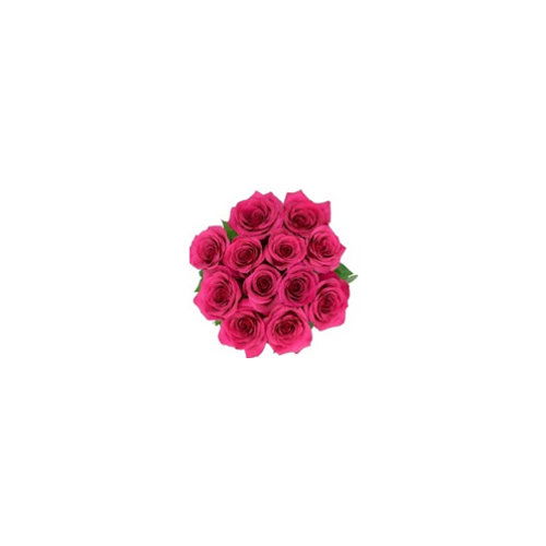 Cub Dozen Pink Roses