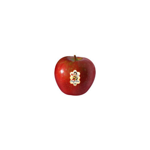 Produce Apple, Sugarbee