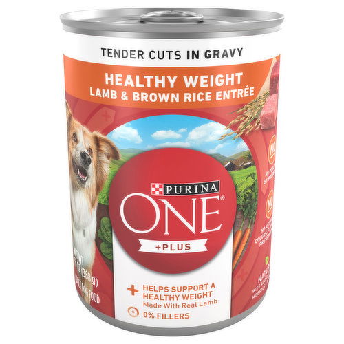 Purina One +Plus Dog Food, Lamb & Brown Rice Entree, Healthy Weight, Adult