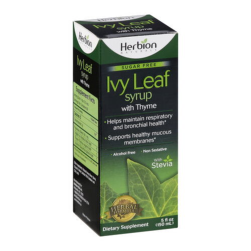 Herbion Naturals Ivy Leaf Syrup, with Thyme, Sugar Free