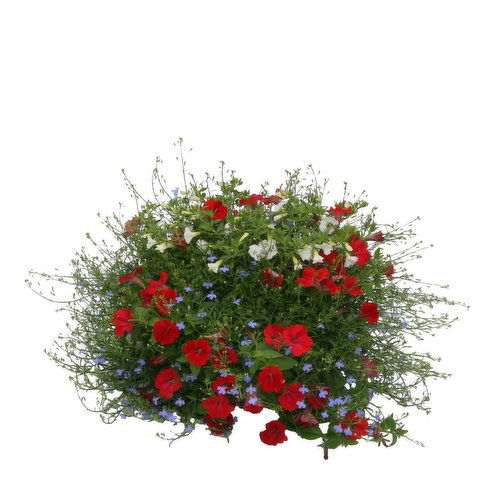 Cub Floral 11" Select Patio Planter Pot