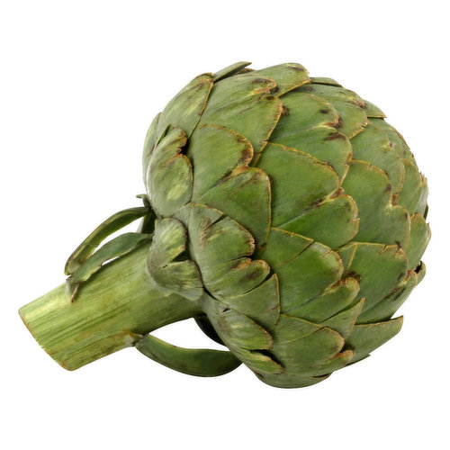 Fresh Artichoke