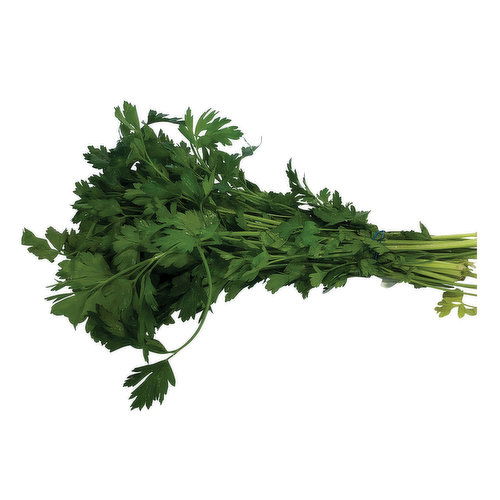 Fresh Parsley