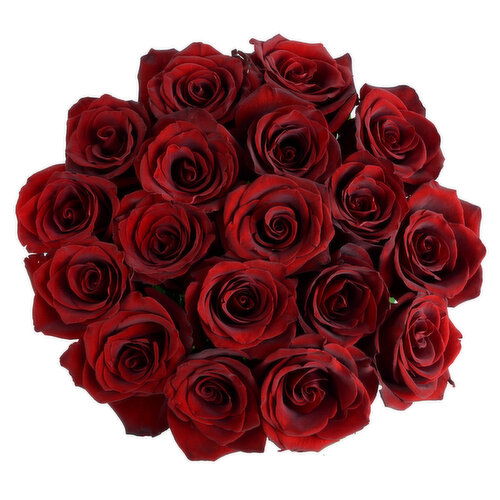 Cub 18 Stem Premium Euro Cut Roses