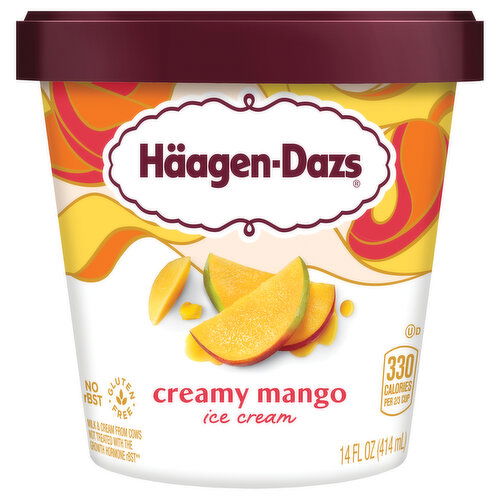 Haagen-Dazs Häagen-Dazs Mango Ice Cream, 14 fl Oz